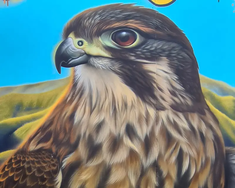SWIFTMANTIS Mural - Kowhai the Karearea