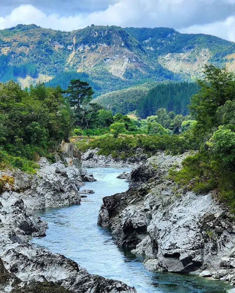 Whale Creek Rapid