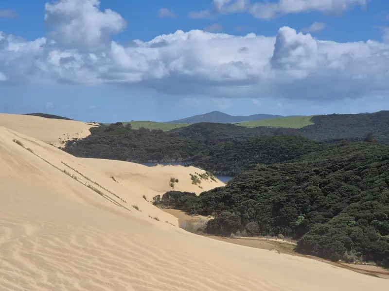 Te Paki Sand Dunes