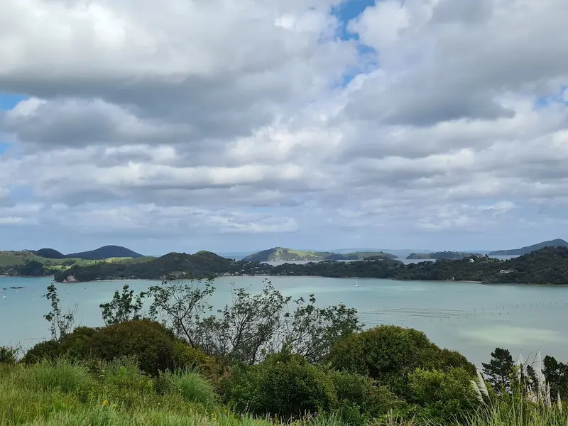 Kauri Block Walk