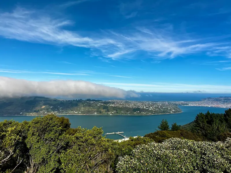 Signal Hill Lookout