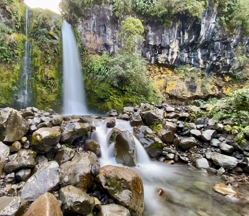 Dawson Falls