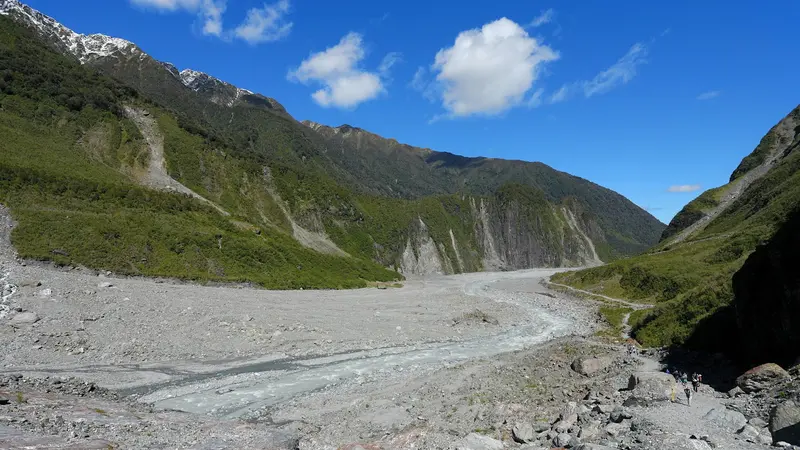Fox Glacier Valley Walk