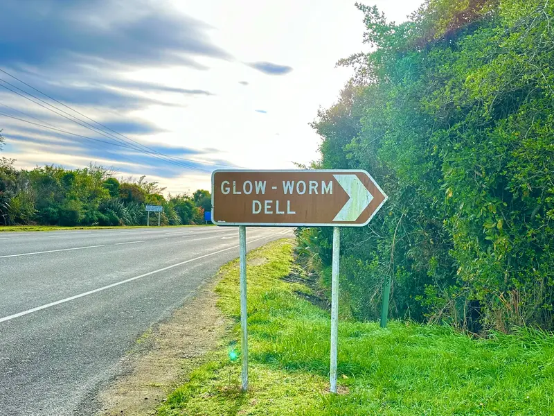 Glow Worm Dell