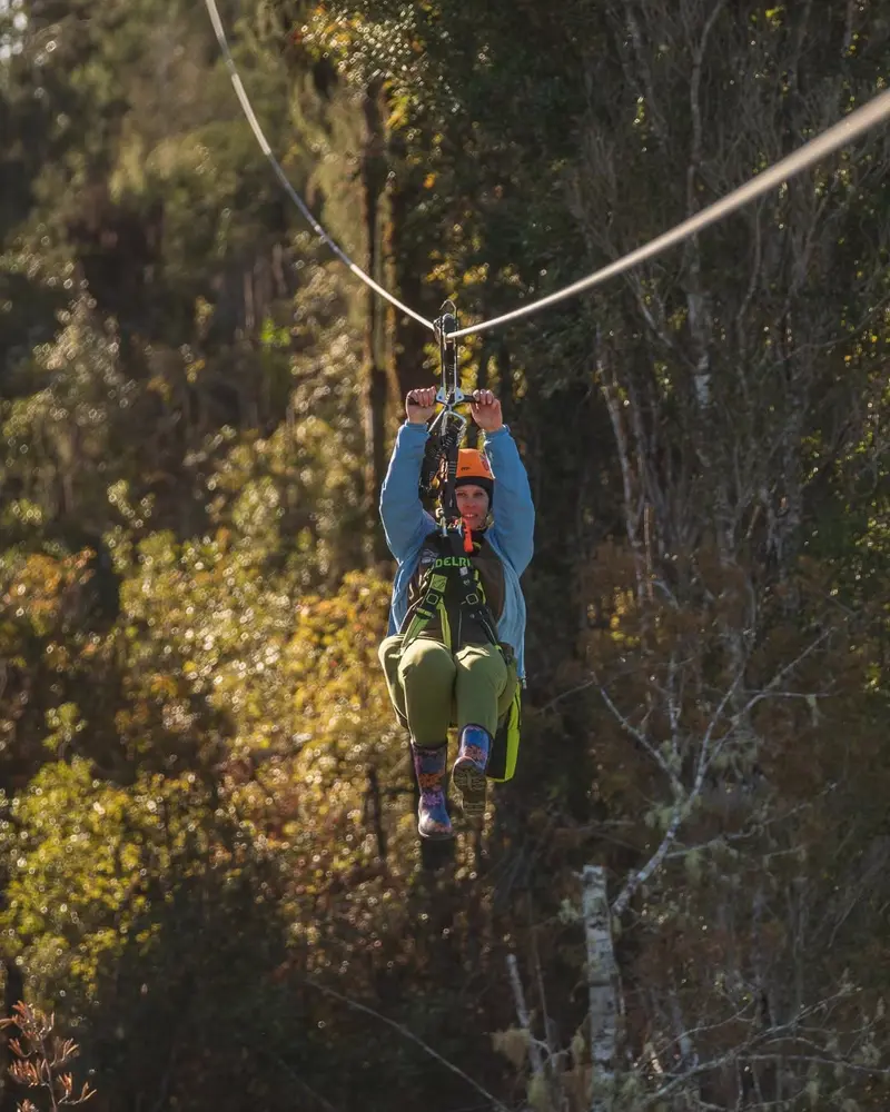 West Coast Treetop Walk