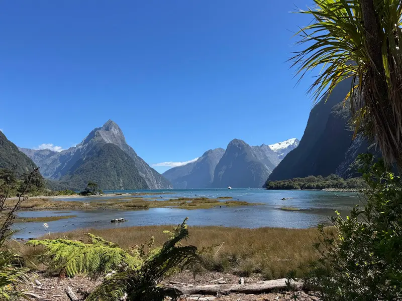 Milford Sound Visitor Terminal