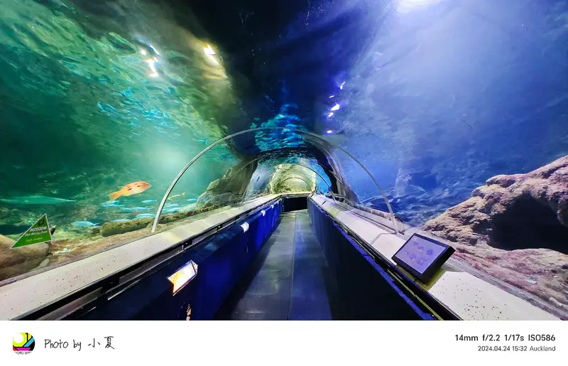 Kelly Tarlton’s Sea Life Aquarium