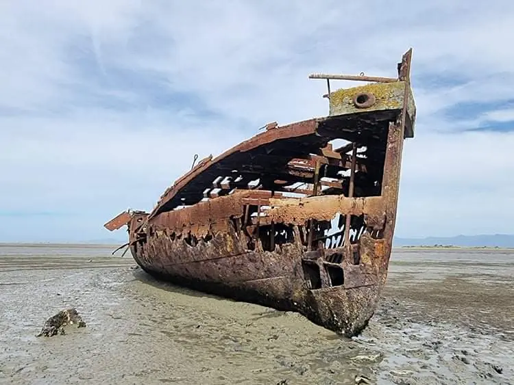 Janie Seddon Shipwreck
