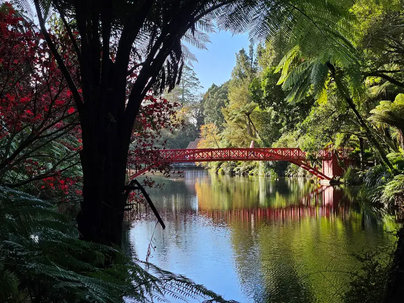 Pukekura Park