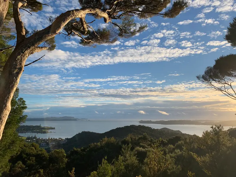 Opua Forest Lookout
