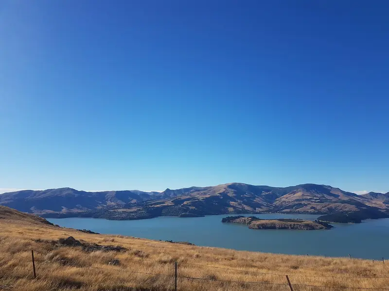 Witch Hill / Te Upoko o Kurī