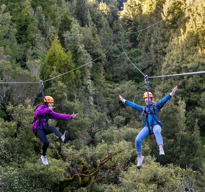 Rotorua Canopy Tours