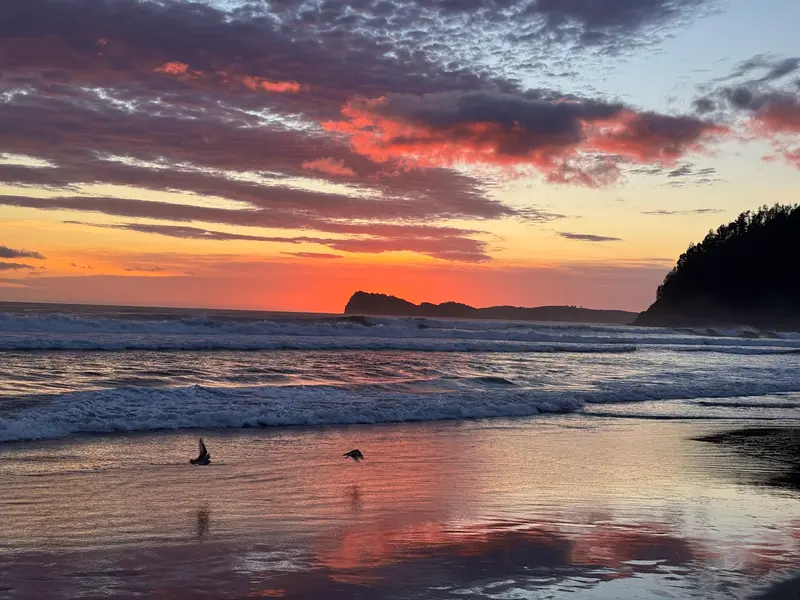 Pauanui Beach