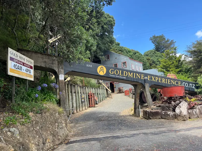 Thames Goldmine Experience