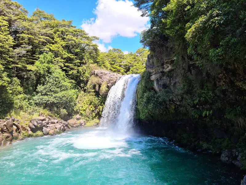 Tawhai Falls (Gollum's Pool)