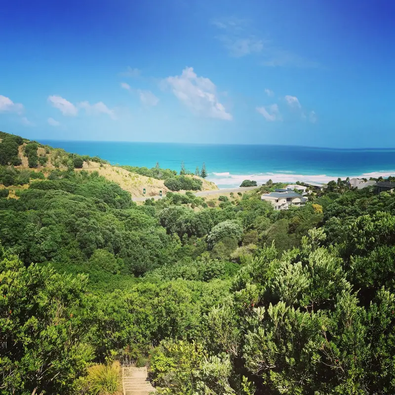 Okitu Scenic Reserve