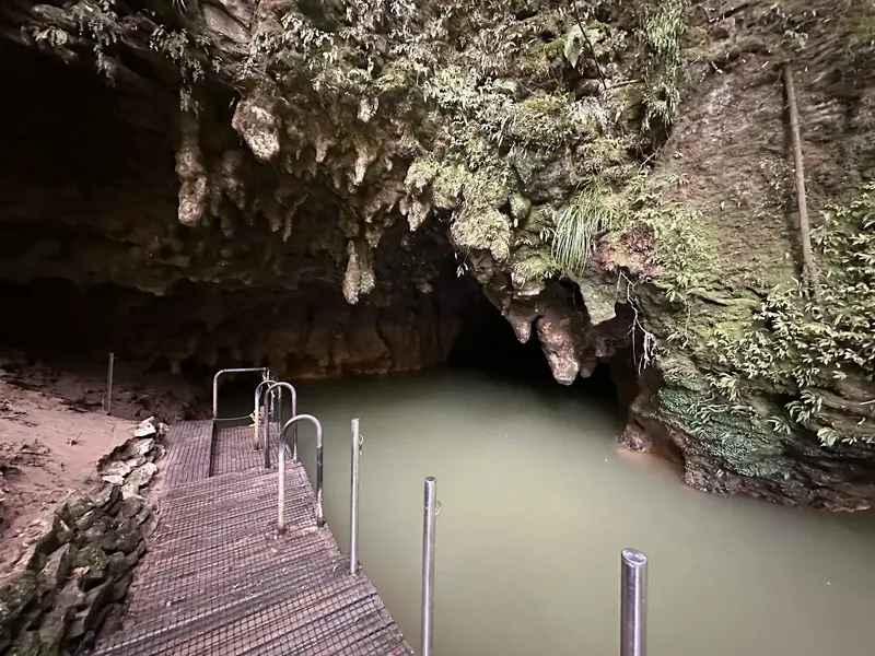 Waitomo Glowworm Caves