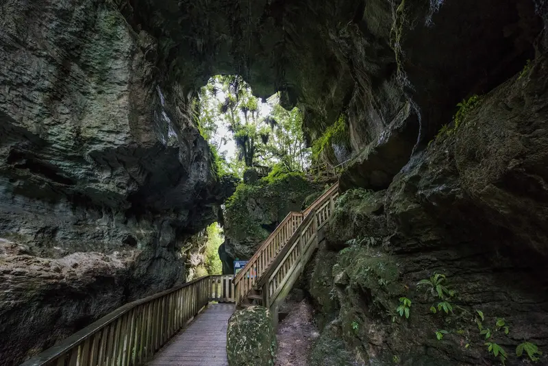 Mangapohue Natural Bridge