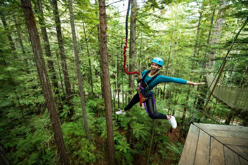 Redwoods Altitude
