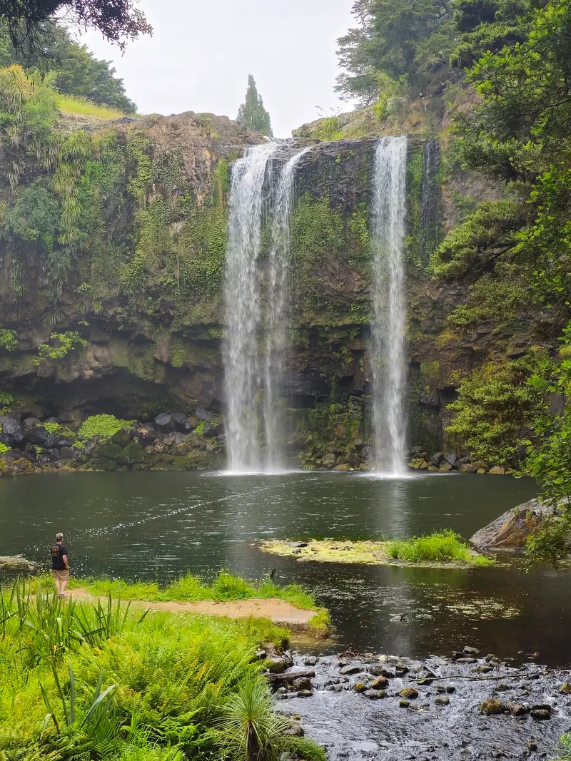 Whangārei Falls