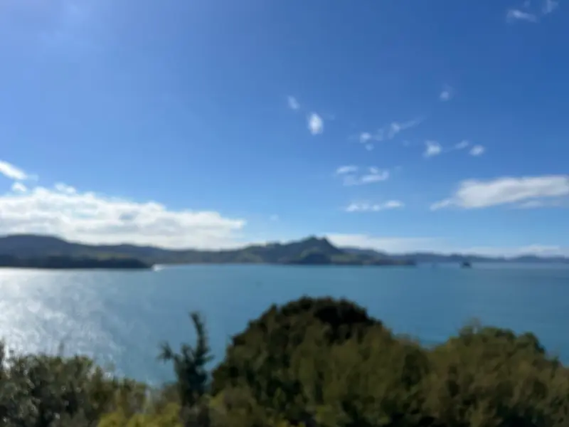 Shakespeare Cliff Lookout