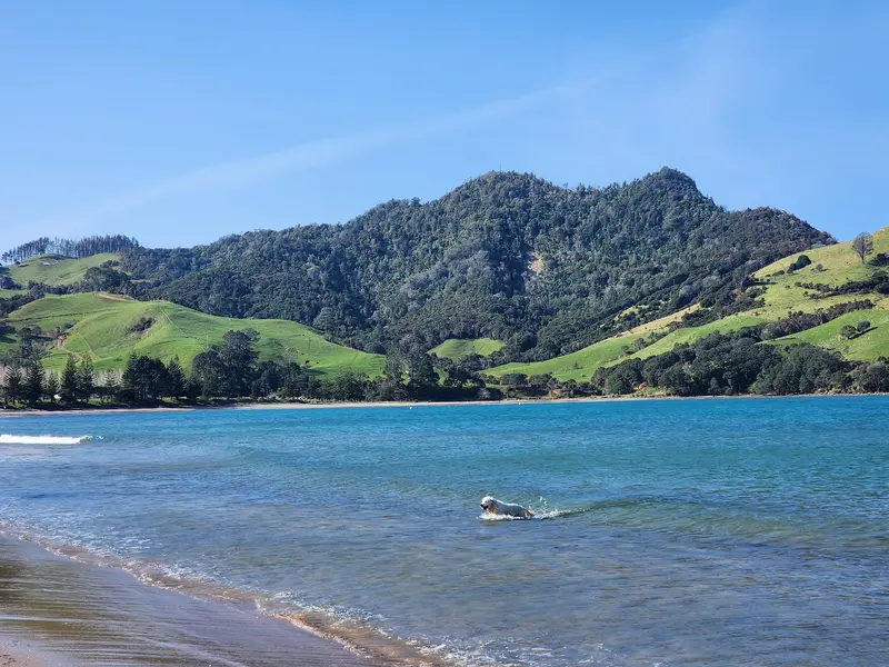 Simpson Beach