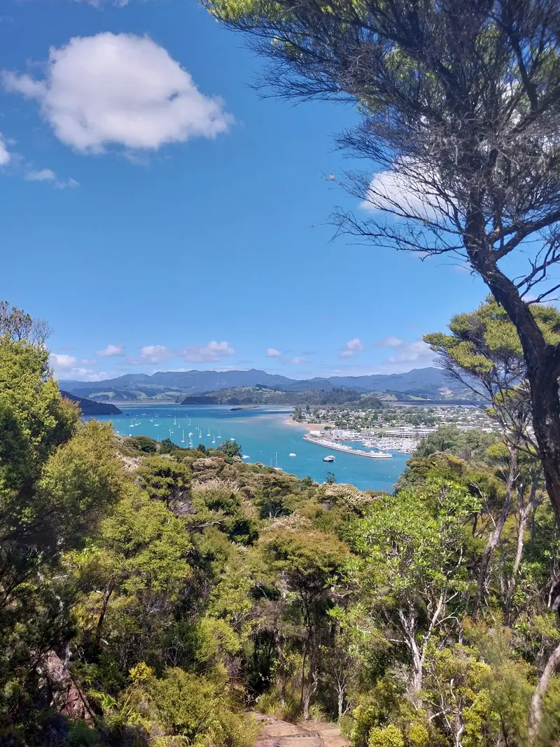 Mercury Bay Lookout