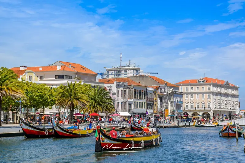 Canal Central und Moliceiros