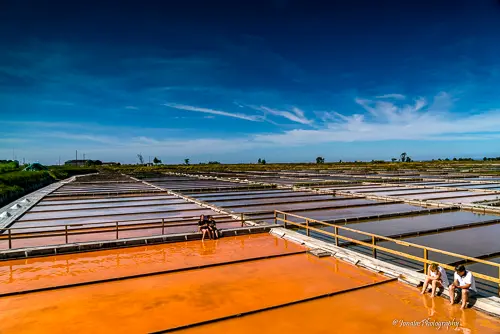 Salinas de Aveiro