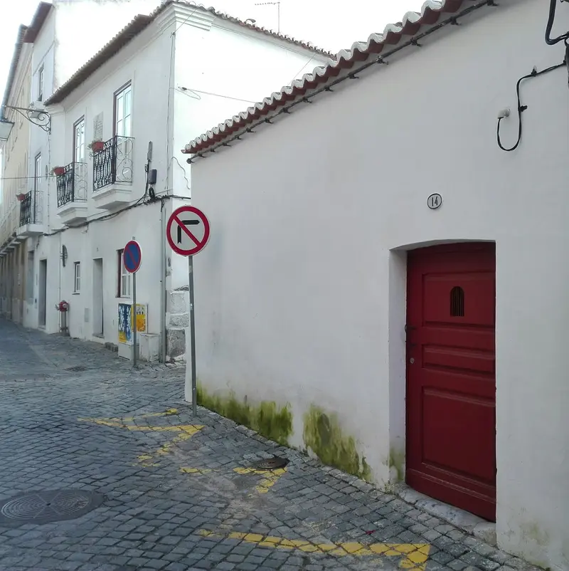 Forno da Ti Bia Gadelha
