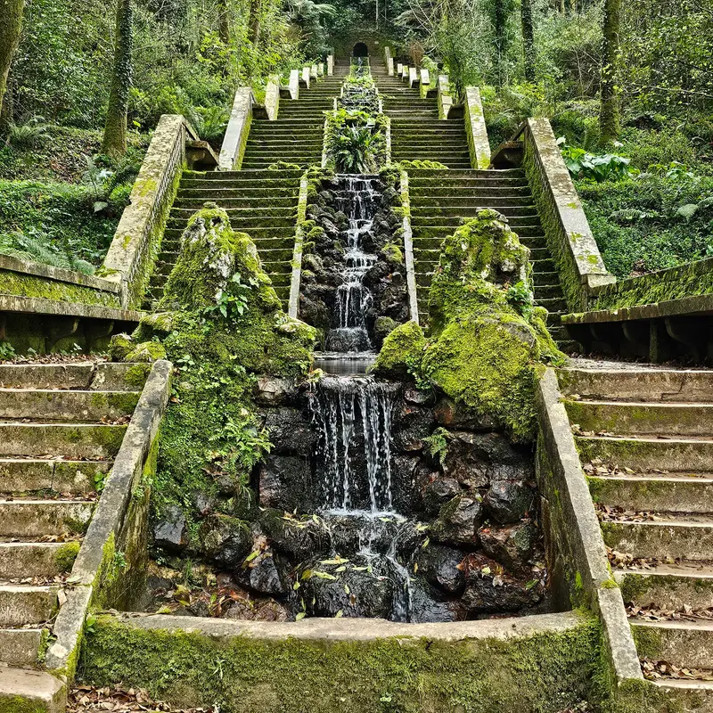 Mata Nacional do Buçaco