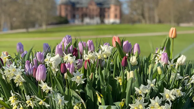 Schloss Sofiero