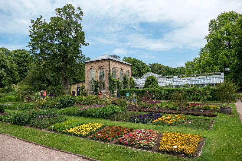 Botaniska trädgården