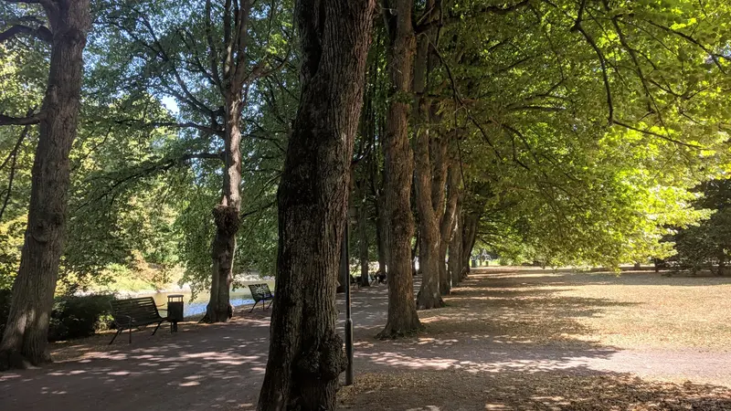 Kungsparken