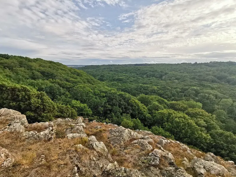 Stenshuvud National Park