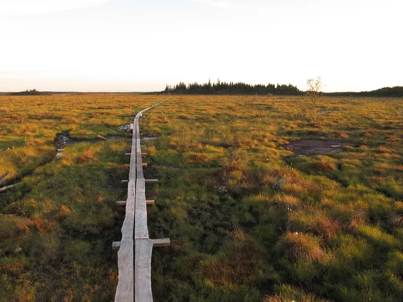 Nationalpark Store Mosse