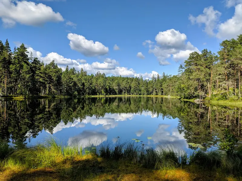Nationalpark Norra Kvill