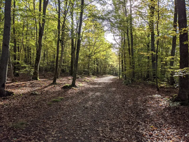Bokhultet