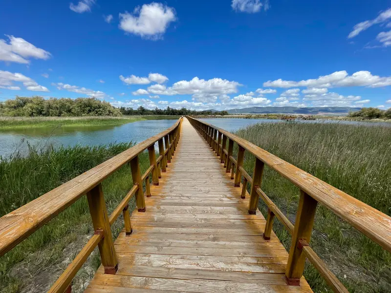 Nationalpark Tablas de Daimiel