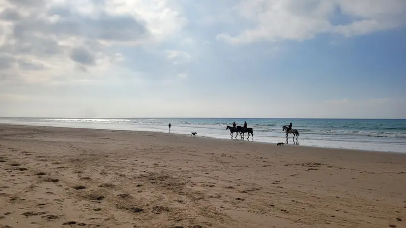 Zahara de los Atunes