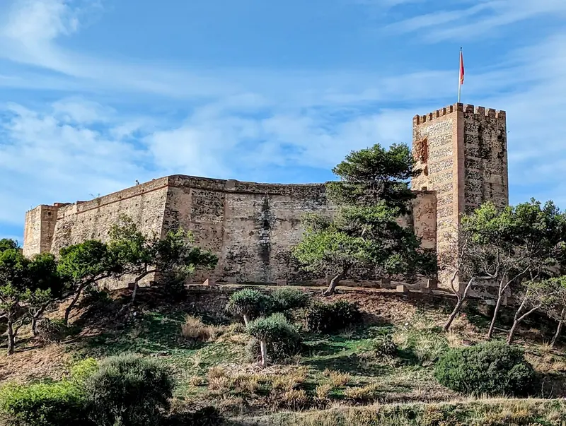 Castillo Sohail