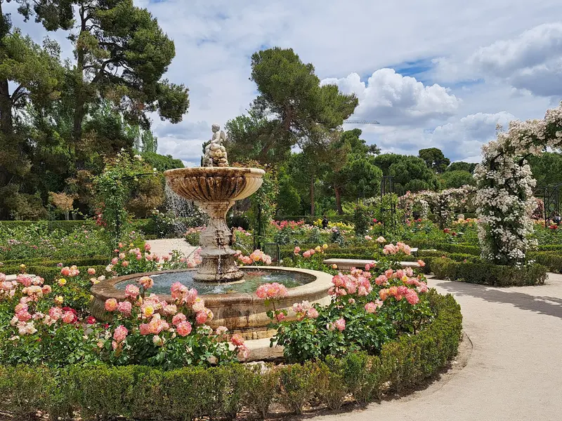 Rosaleda