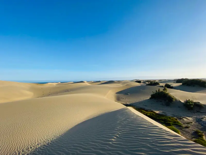 Dünen von Maspalomas