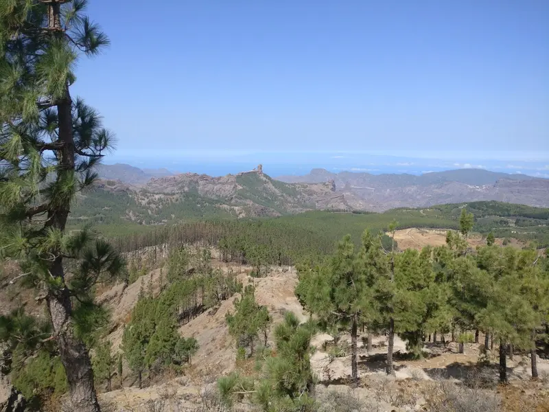 Pico de las Nieves