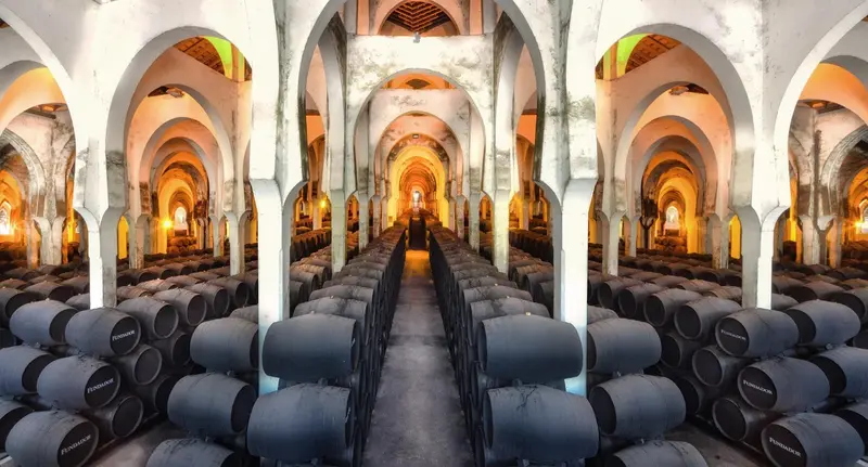 Bodegas Fundador