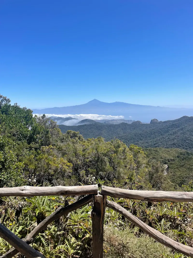 Alto de Garajonay