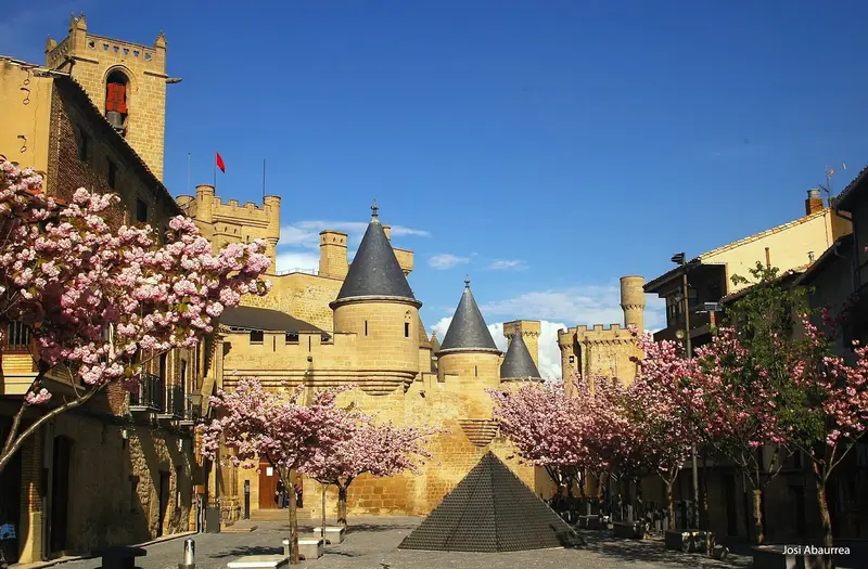 Palacio Real de Olite