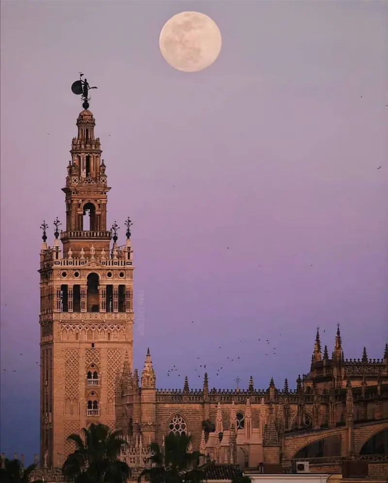 Kathedrale und Giralda