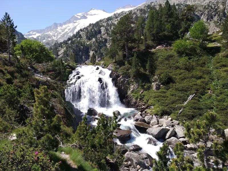 Forau d'Aigualluts