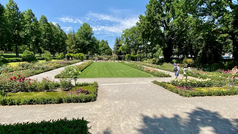 Rose Garden